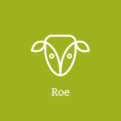 Roe deer