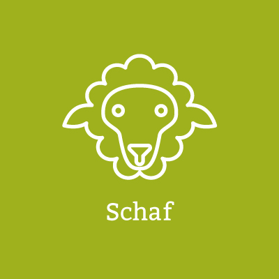 Schaf