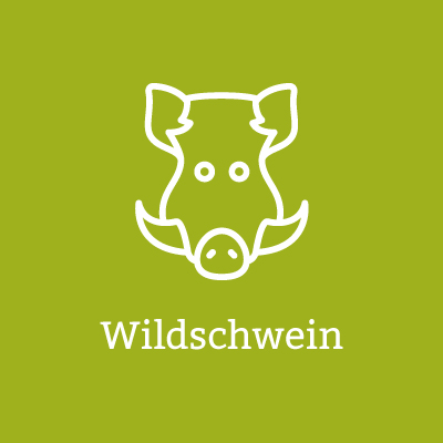 Wildschwein