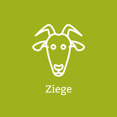 Ziege